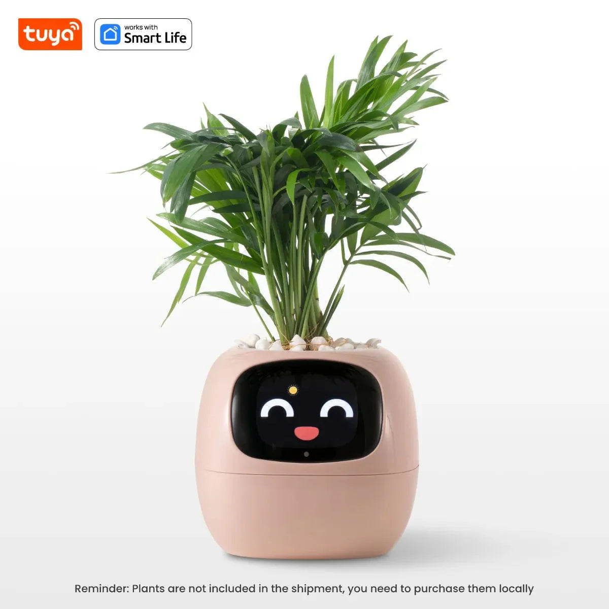 Tuya Ivy Smart Planter Endless Fun