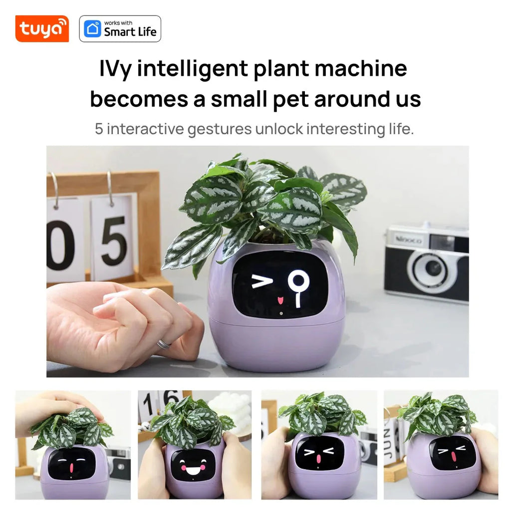 Tuya Ivy Smart Planter Endless Fun