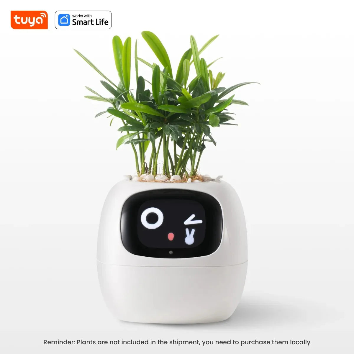 Tuya Ivy Smart Planter Endless Fun