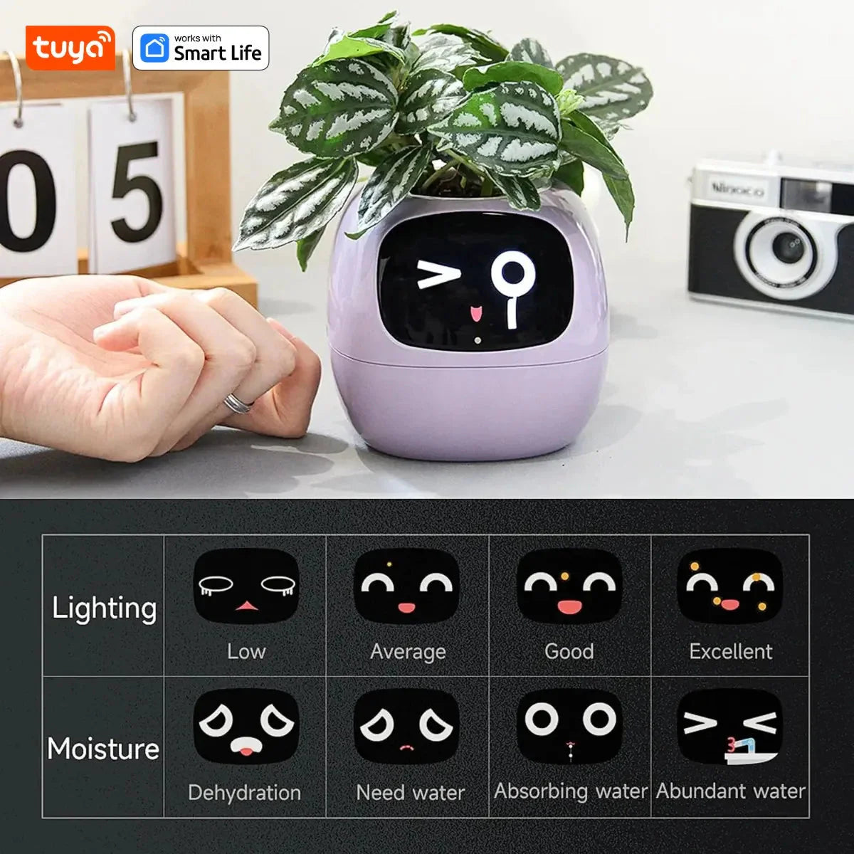 Tuya Ivy Smart Planter Endless Fun