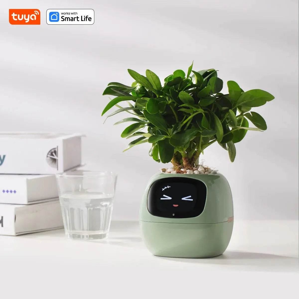 Tuya Ivy Smart Planter Endless Fun