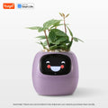 Tuya Ivy Smart Planter Endless Fun