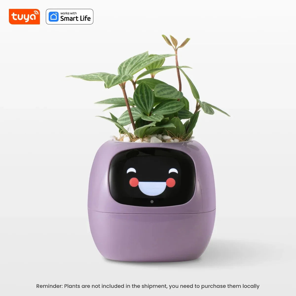 Tuya Ivy Smart Planter Endless Fun
