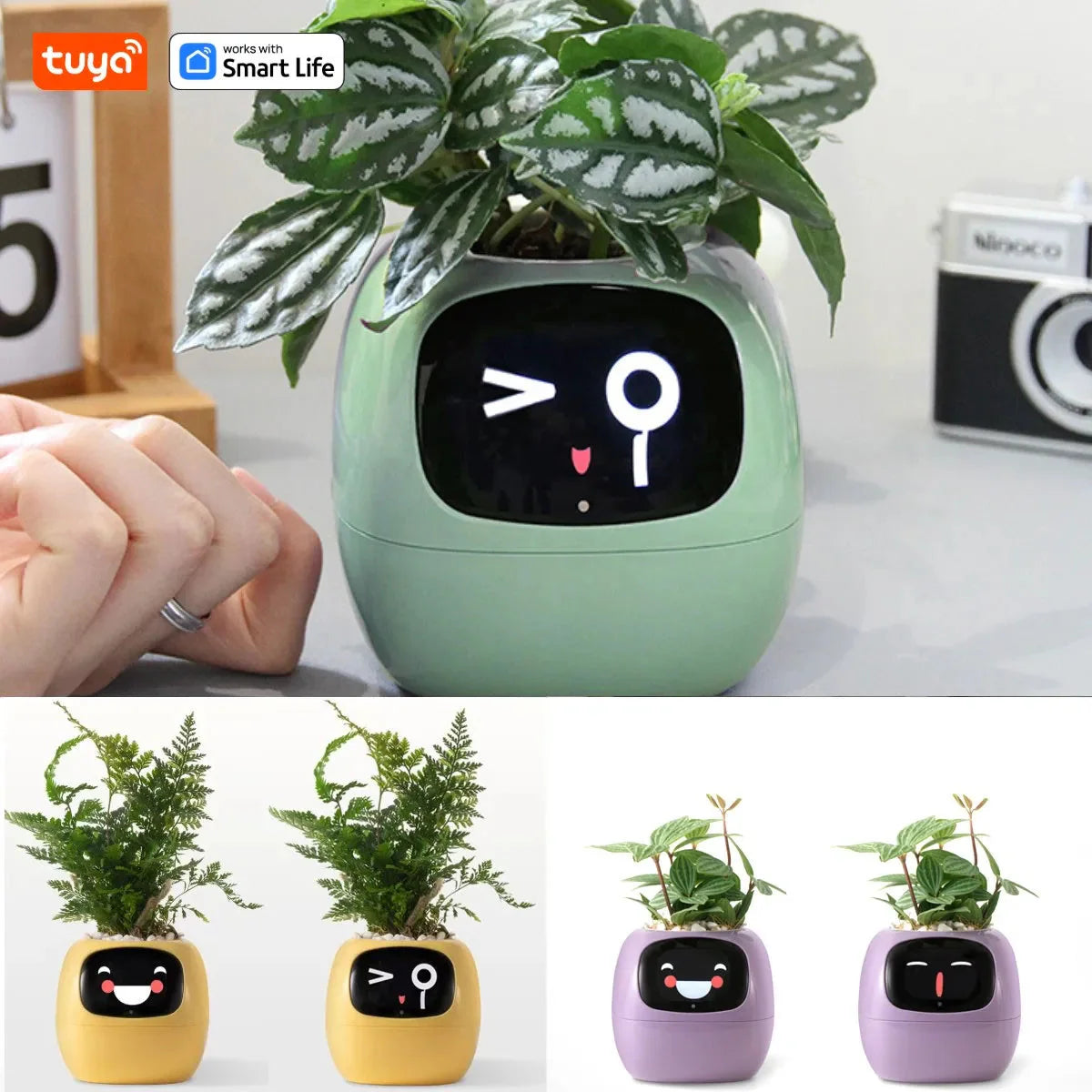 Tuya Ivy Smart Planter Endless Fun